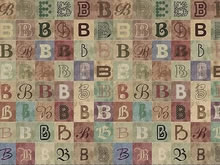 浙江彼奇諾鞋業(yè)VI設(shè)計(jì)