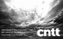 推薦案例：中國(guó)天正集團(tuán)天天閥門(mén)網(wǎng)站設(shè)計(jì)