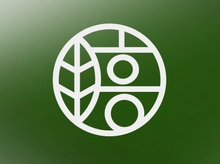 推薦案例：江西芳菲花茶有限公司VI設(shè)計(jì)