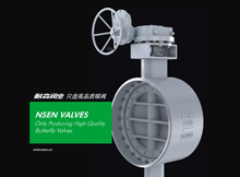 推薦案例：耐森閥門(mén)有限公司蝶閥閥門(mén)畫(huà)冊(cè)樣本設(shè)計(jì)