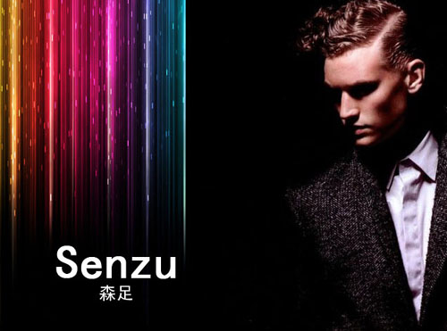 鞋業(yè)VI設(shè)計