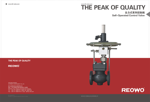 閥門(mén)畫(huà)冊(cè)樣本設(shè)計(jì)